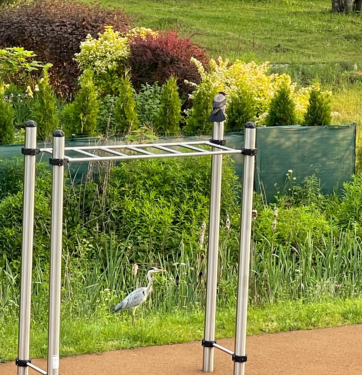 Šampēterī jauns kaimiņš!