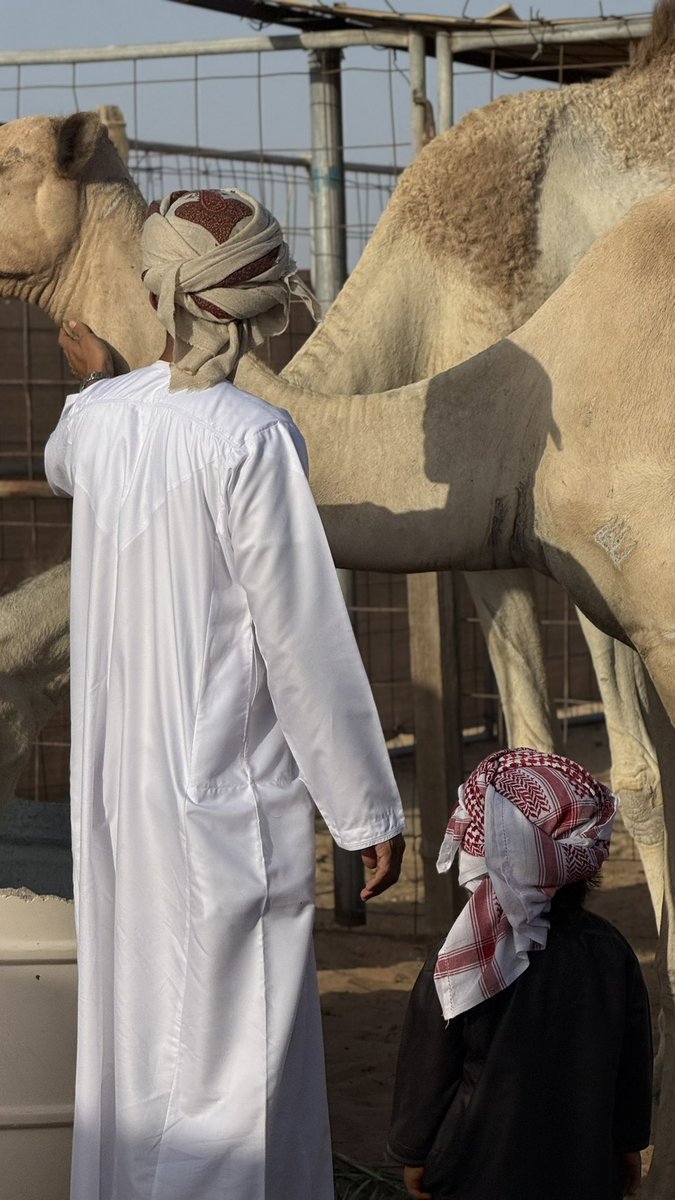 ما عاد لي في دربّ الأحباب مسيّار  ♡.