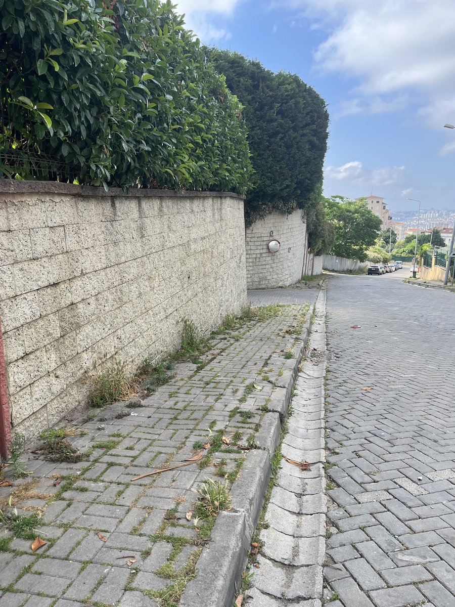 bsn439's tweet photo. @Basaksehir_Bld Keşke aynı özen Bahçeşehir e de gösterilseydi.kaldırımdaki otlar kocaman olmuşlar.içlerinde keneler var.bahçeşehir terk edilmiş bölge mi?Didim sokak ‘a bekleriz https://t.co/EvL90y4lEH