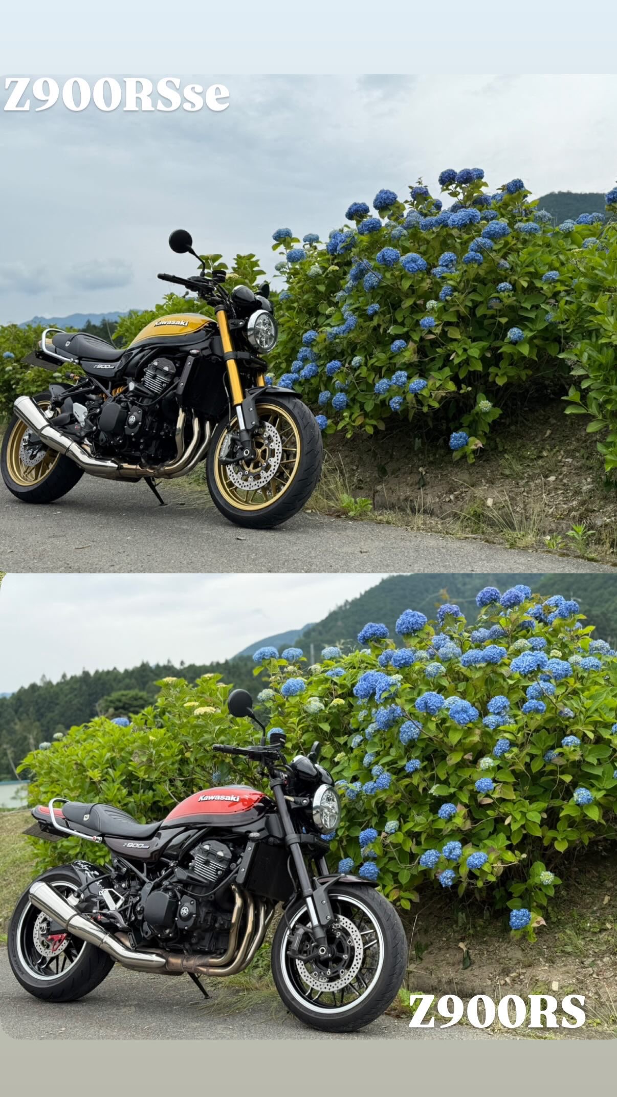 ゆうき☆Funky Z Racing (@z900rs_y) / X