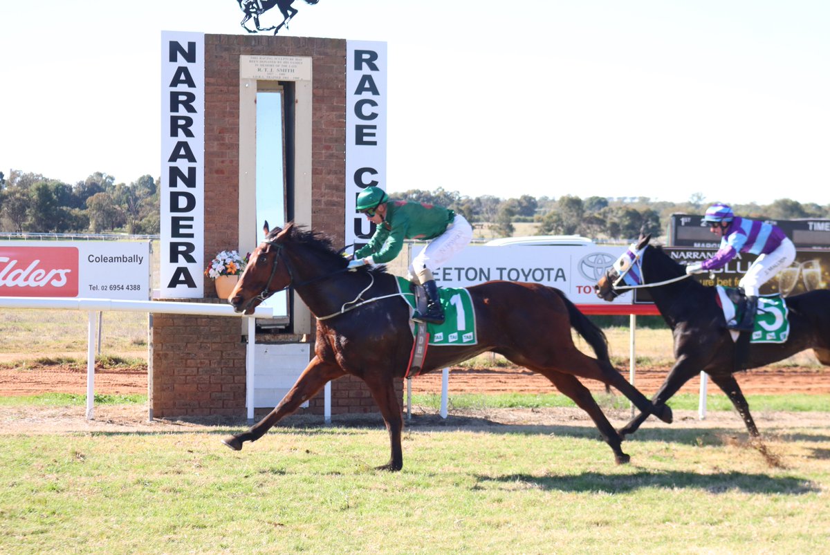 Saturday kicks off Narrandera Race Club’s winter racing season – should the local kangaroos decide to stay away! - tinyurl.com/mrxvcnuk