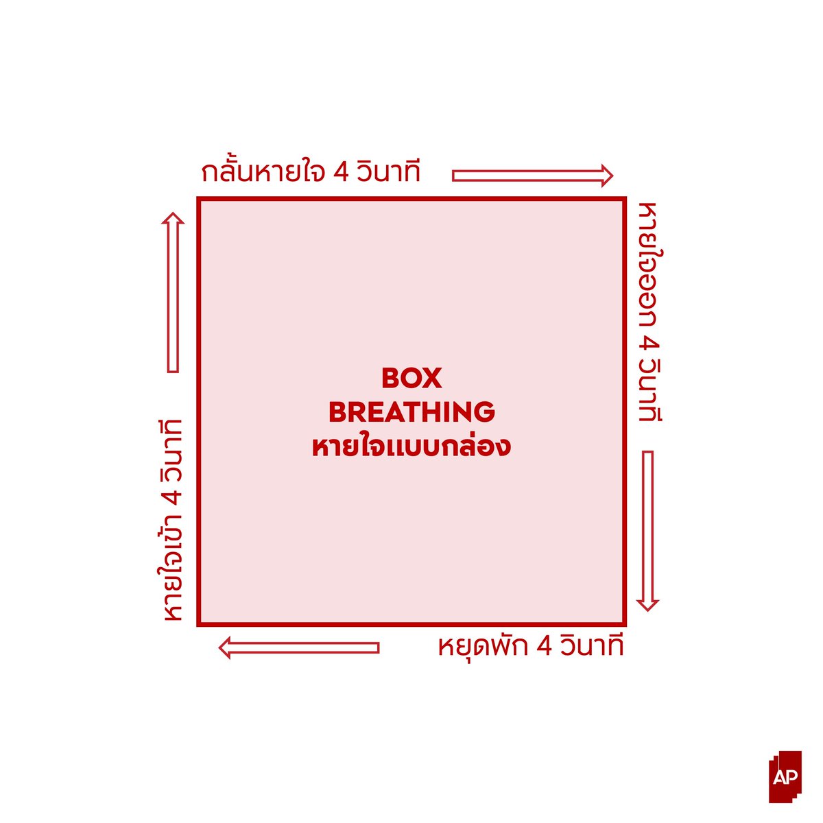 AP_Inspire's tweet photo. #BoxBreathing หายใจลดความเครียด

หายใจเข้ายาว 4 วินาที
กลั้นหายใจยาว 4 วินาที
หายใจออกยาว 4 วินาที

ทำแบบนี้ต่อเนื่อง 5 นาที ช่วยทำสมาธิก่อน Present งาน ตอนที่กำลังเผชิญความกดดัน จะช่วยลดอาการตื่นเต้น เครียด หรือวิตกกังวลได้ 😊

#APThai #ชีวิตดีๆที่เลือกเองได้ #APLivingseries https://t.co/yqeuMCGO0c