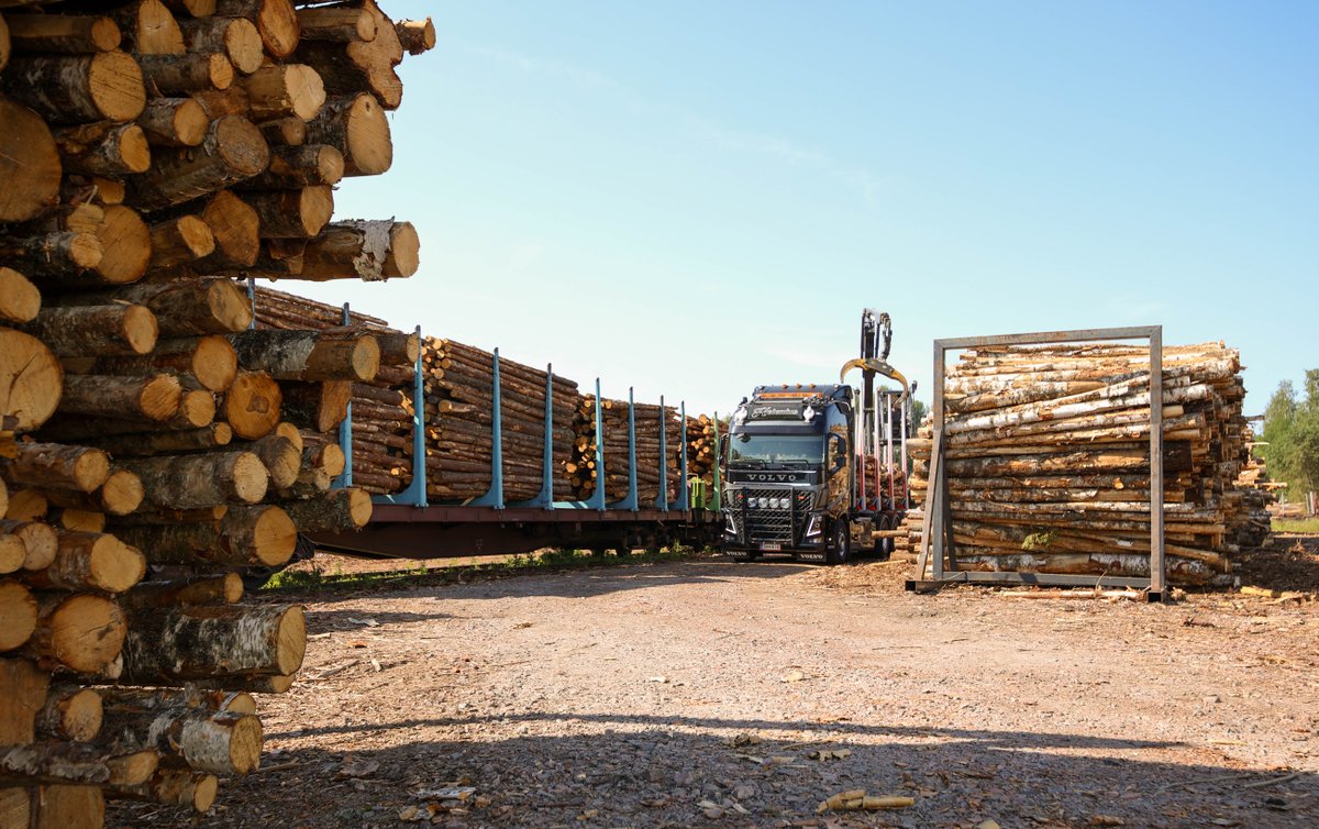 ⚠️ Saamme jatkuvasti ilmoituksia luvattomasta liikkumisesta tai ilkivallasta raakapuun kuormauspaikoilla ympäri Suomen.

😐 Erityisen paljon ongelmia on ollut Seinäjoen kuormausalueella, joka avattiin viime syksynä.

👉 Tiedote: vayla.fi/-/jata-raakapu…

#JätäRataRauhaan