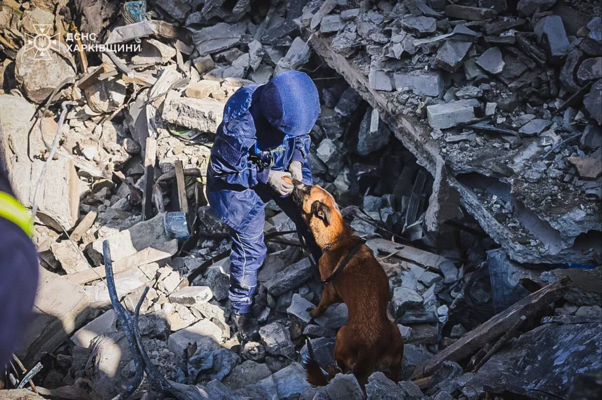 Lesia Vasylenko tweet media