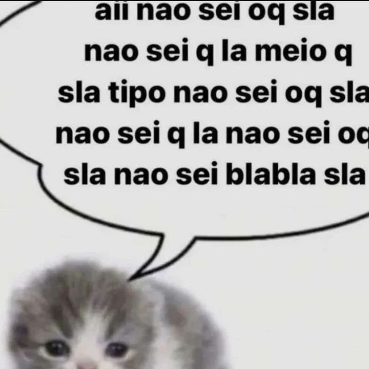 perfil dedicado a gatinhos e peitos tweet media