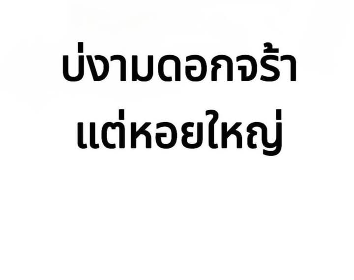 ใช่จ๊ะ
#ตัดใหม่ชุมพร