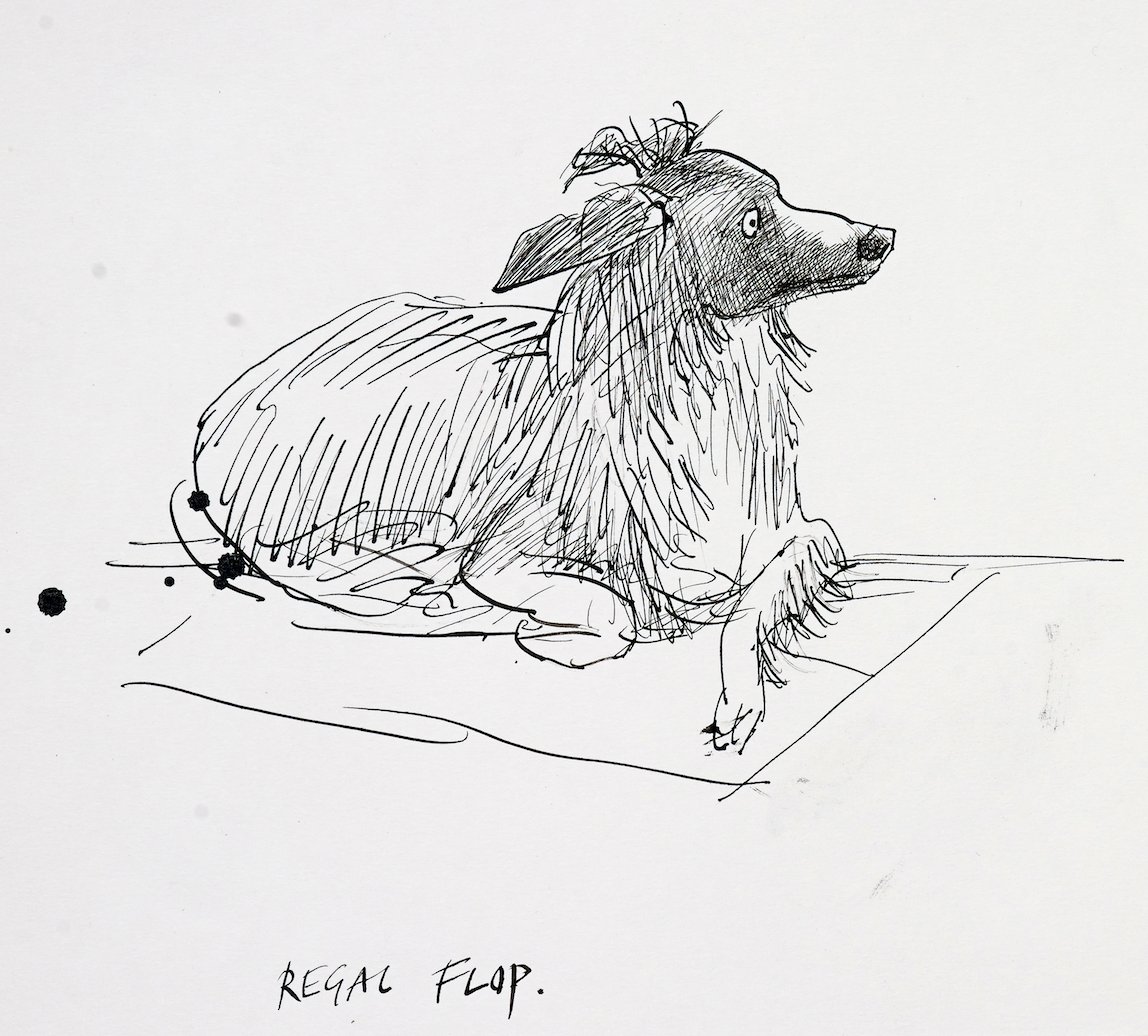 The one and only, Flop ❤️

#WorldPetMemorialDay #RalphSteadman #Illustration