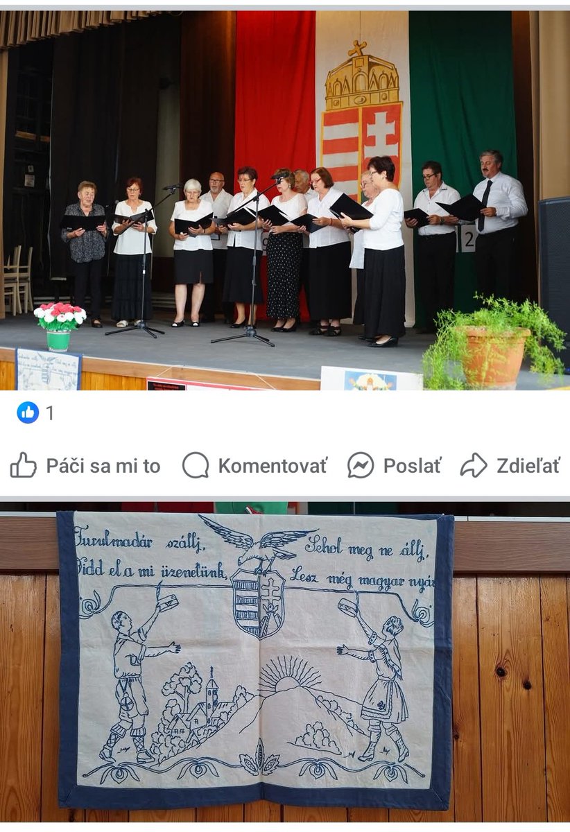 Slovensko škaredo doplatí na celospektrálne podceňovanie maďarského revizionizmu. Neriešia ho médiá, neriešia ho politické strany, od Smeru po Progresívne Slovensko. Rečniaci pán na fotografii k 105. výročiu Trianonu je predseda Aliancie.