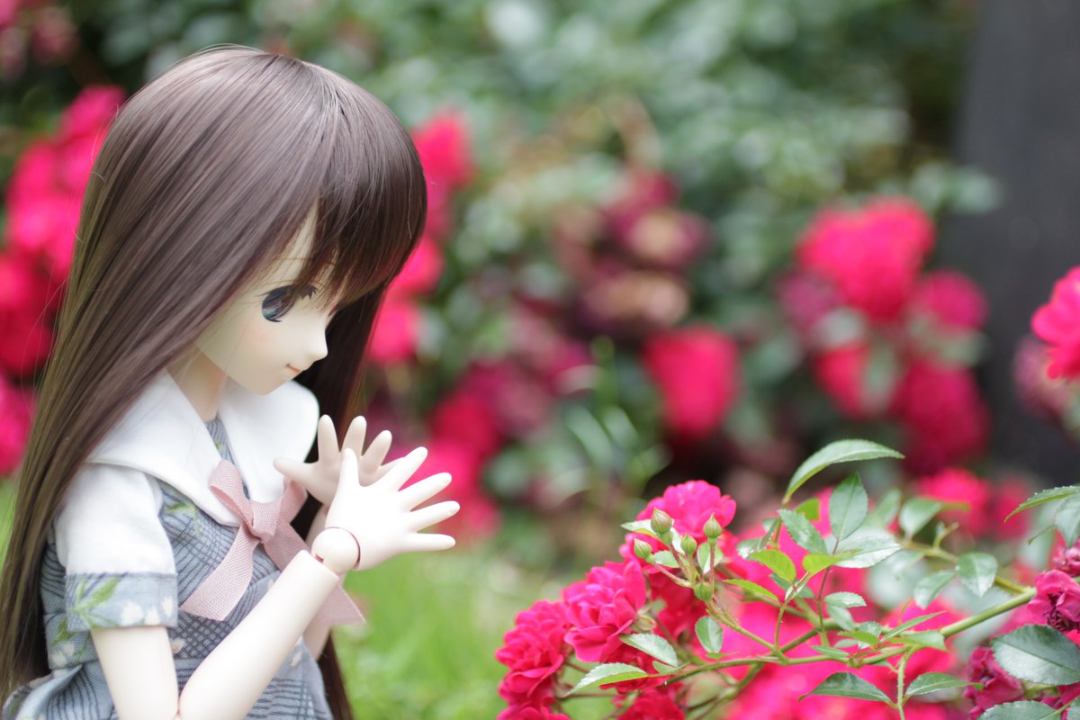 昨日は午前だけの仕事だったから外に連れ出してみた
やっぱりお外はいろいろ難しい