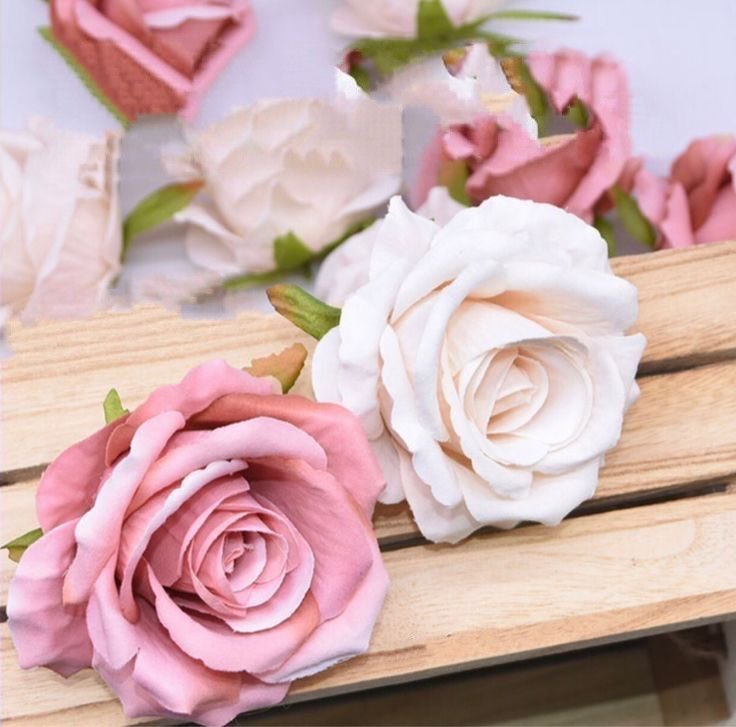 bo0o330's tweet image. إنَّ المرءَ منّا ليشعُر بالألفةِ حتّىٰ مع شجرةٍ جلسَ 
تحتها أكثر مِنْ مرّةٍ فكيفَ يُنسىٰ مَنْ ألفتهُ الرّوح ..
❀𓆩•҉᭄𓆪