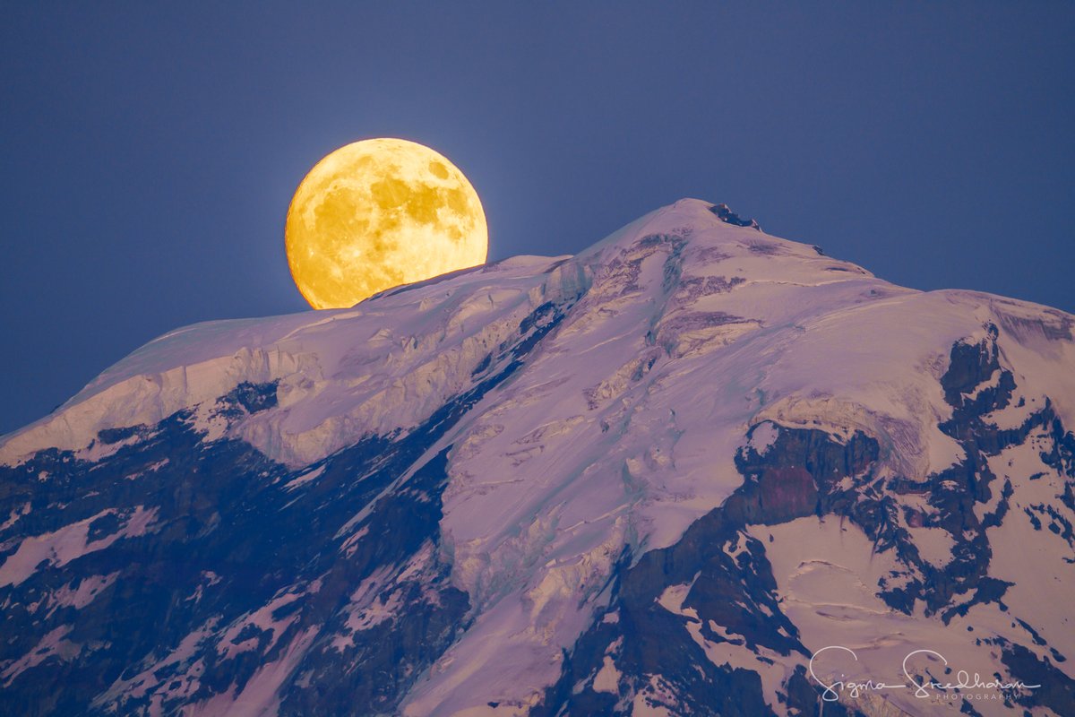sigmas's tweet image. Almost full #strawberrymoon rising behind #Tahoma tonight.