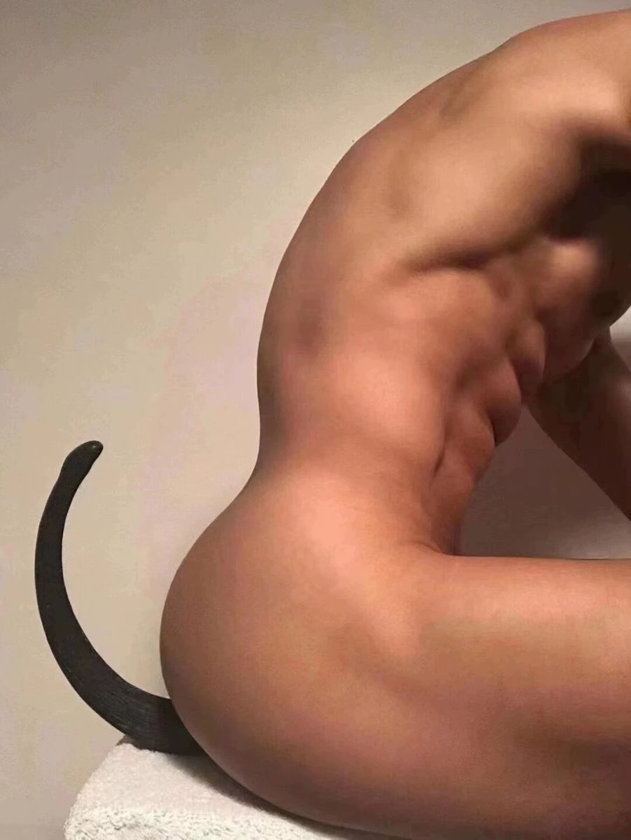 MuscleMasterdom's tweet photo. 肌肉男私信我想当肌肉狗，买了根尾巴给他，到的第一时间迫不及待的插入给我看，有没有喜欢的，转发过100，继续发正面，肌肉男私下都是骚逼肌肉狗，还有没有想被调教的肌肉狗，来关注我 https://t.co/YUw78D07Sg