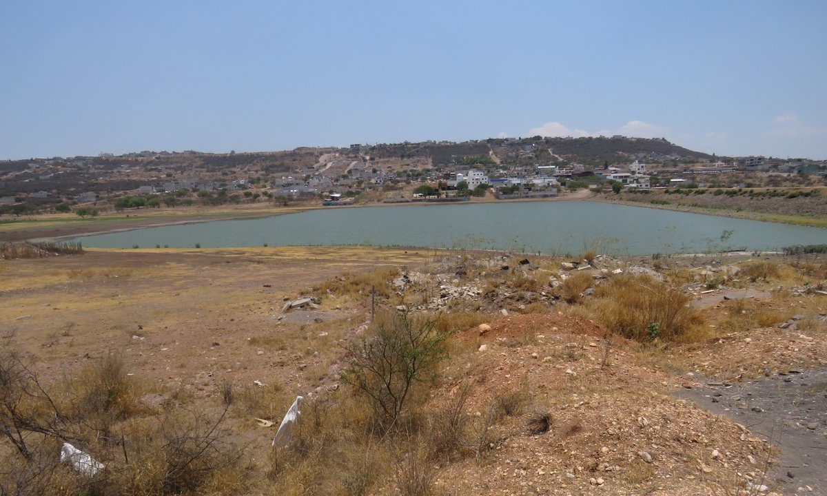 Ordenamiento Ecológico y Disponibilidad de Agua en las Zonas Metropolitanas de Querétaro y San Juan del Río <a href="/JURIQUILLA/">JURIQUILLA</a> <a href="/ecojusticia/">Observador Ambiental</a> <a href="/Fomouret/">Federico</a> <a href="/frasesfunestas/">Patricia Ramirez</a> <a href="/GerardoMalagn3/">Gerardo Malagón</a> <a href="/Eliolvera18/">Eli</a> <a href="/CivicaQueretaro/">Cívica Querétaro, Confederación de OSC</a> <a href="/LizzQro/">Hanya Seorang Wanita</a> <a href="/yayasinpartido/">Yaya Xareni Coffee 🤷🏽‍♀🧠🩹🍵🍀👛🏢✈️💃🏘️</a> <a href="/CONAFOR/">CONAFOR</a> <a href="/DonMehni/">※Mehni※</a> 
facebook.com/share/p/1APUBx…