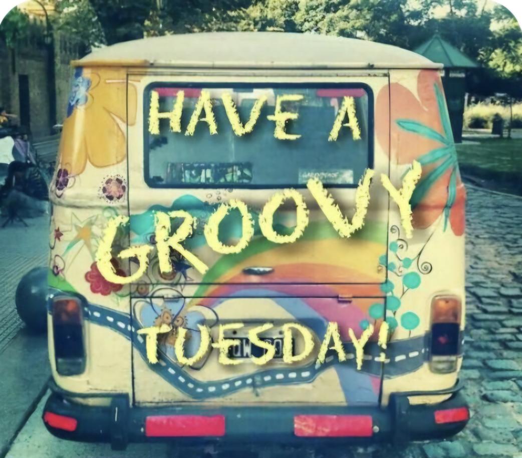 Terryll Jordaan (@beachbabynorth) on Twitter photo 