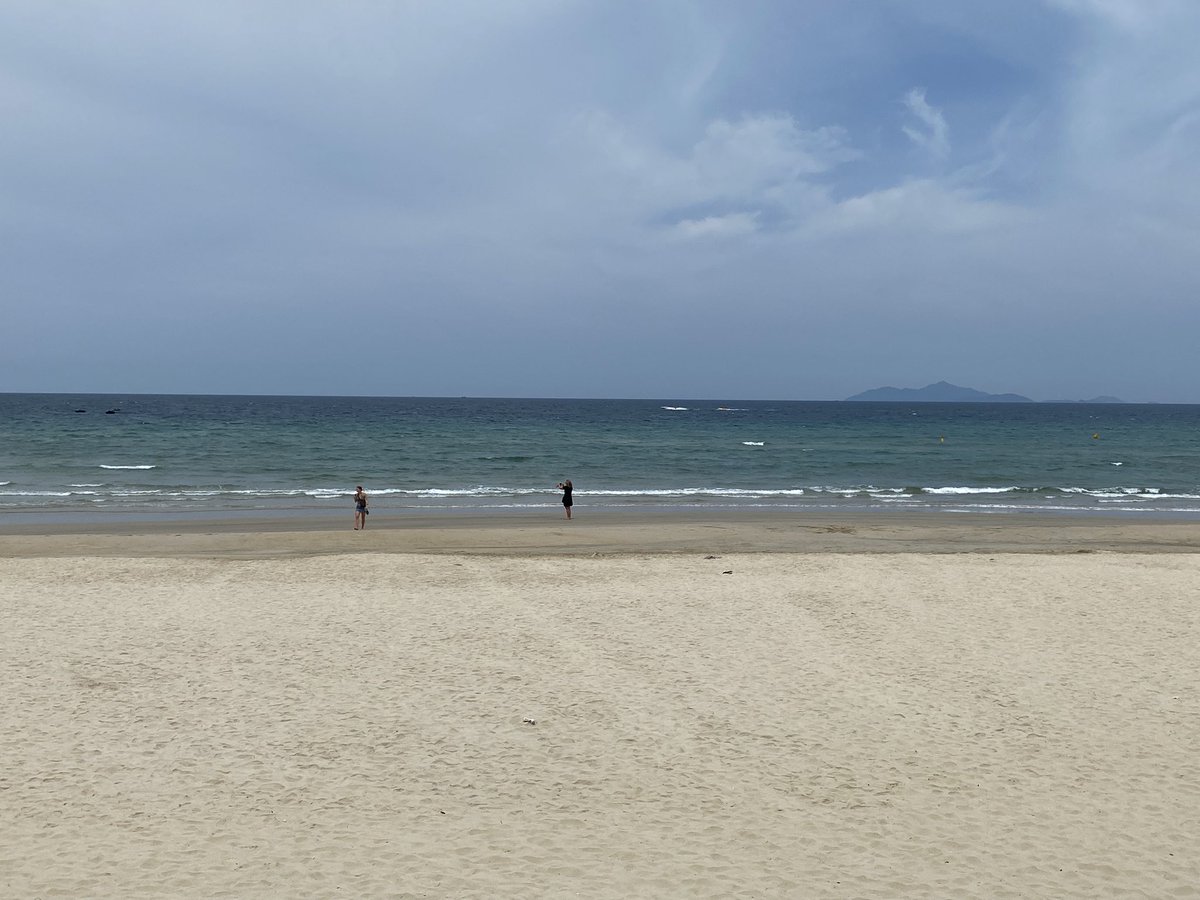 lestiality | LT 👯‍♀️☄️ tweet media