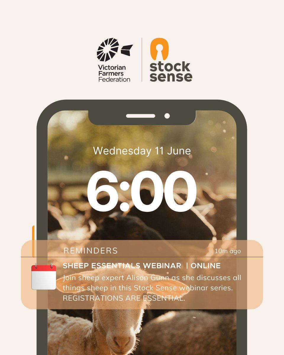 VFF Stock Sense (@vffstocksense) on Twitter photo 📅 REMINDER: Part One of our Sheep Essentials webinar with Alison Gunn is on tomorrow evening! 
Register for FREE today so you don't miss out via the link in our bio or our website. 📅 REMINDER: Part One of our Sheep Essentials webinar with Alison Gunn is on tomorrow evening! 
Register for FREE today so you don't miss out via the link in our bio or our website.