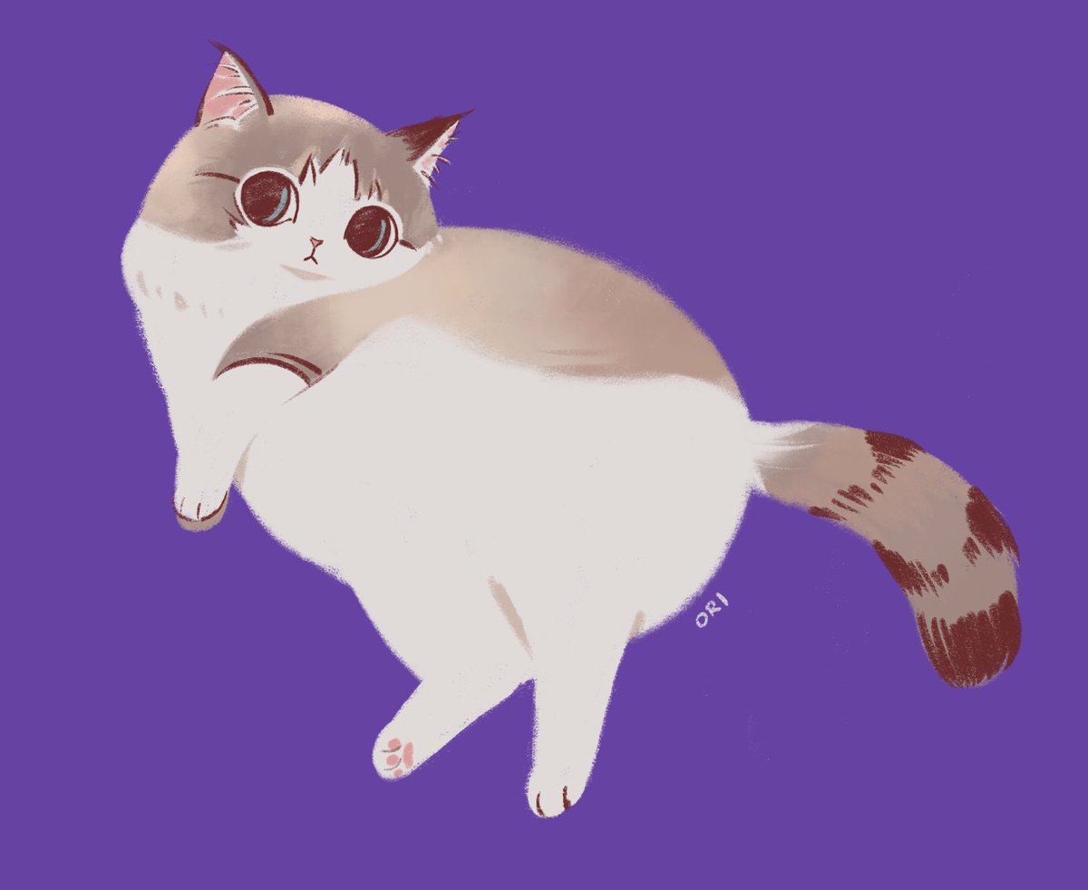 ox.miruku (@ox_miruku) on Twitter photo 