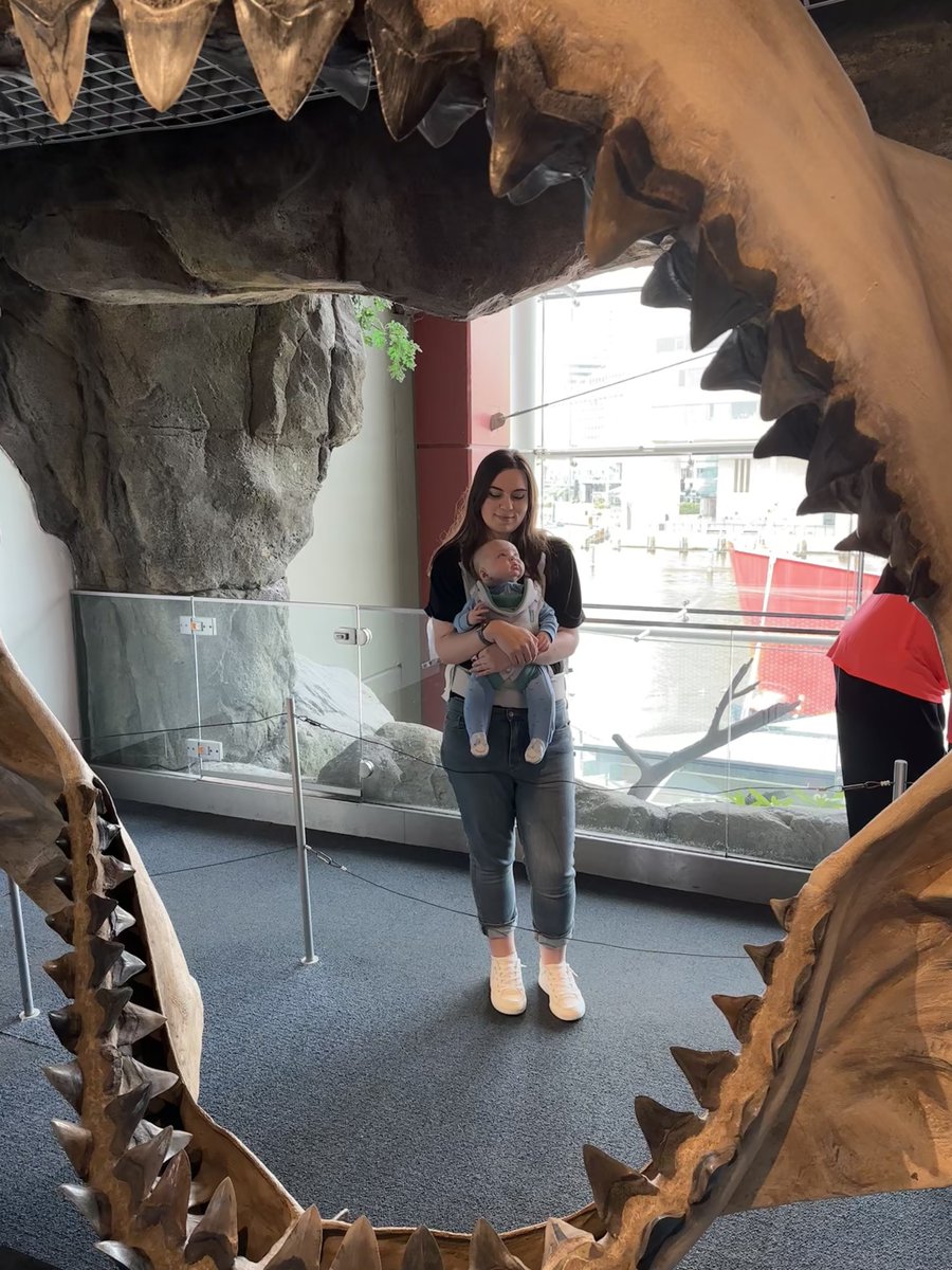 cheyrassic's tweet image. We went to the National Aquarium in Baltimore with some of our friends this past weekend- it was actually reallyyy cool! 

I loved the shark room and their dolphin exhibit. We were able to see the dolphins eat and play. 🥹

My kid was CONKED.