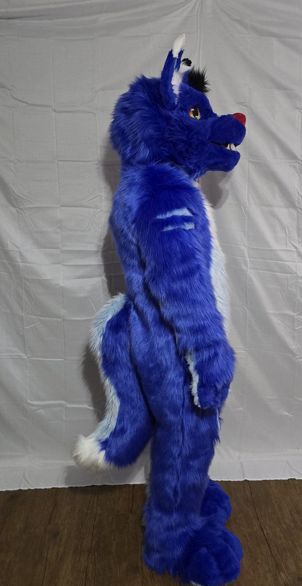 First fullsuit! Here's Keylle!
#fursuit #fullsuit #furry #fursona #wolf #husky