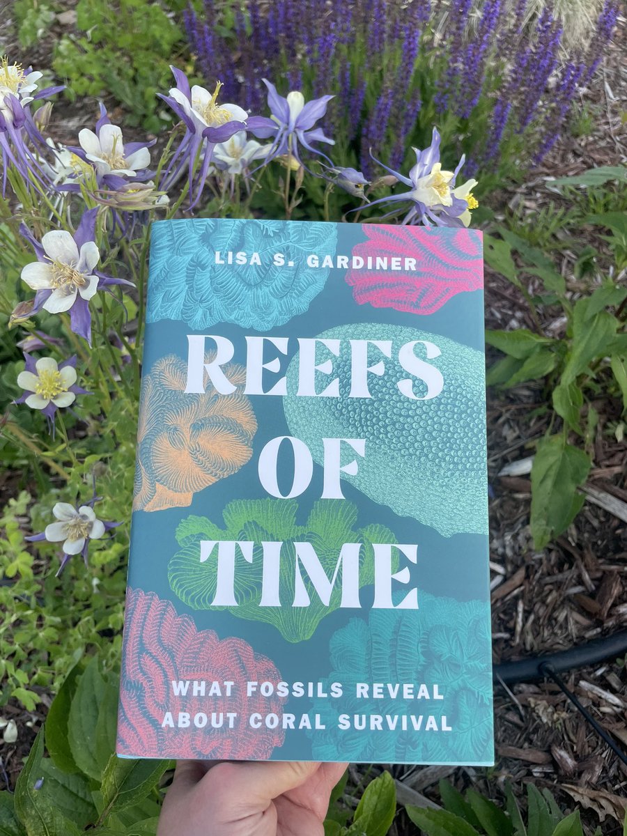 Dr. Debbie Gale Mitchell tweet media