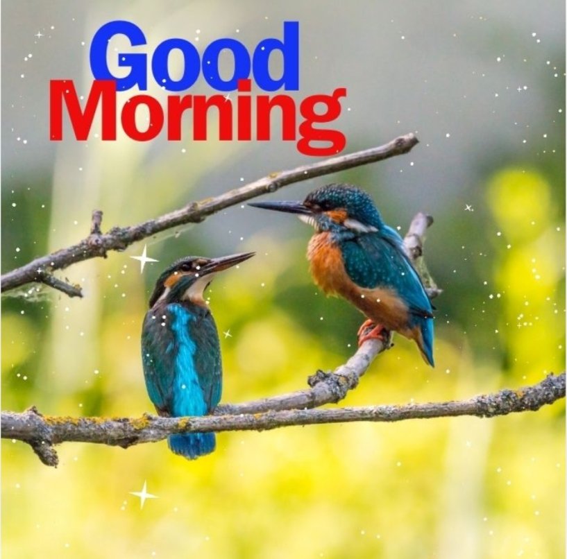 Assalamu alaikum 
Good morning X friends