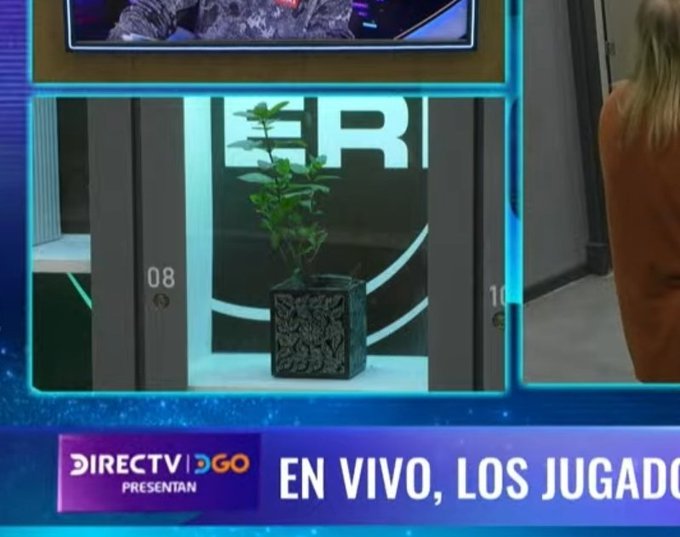 PORQUE TATO ESTA EN EL KIOSCO? QUE PASO?
#GranHermano