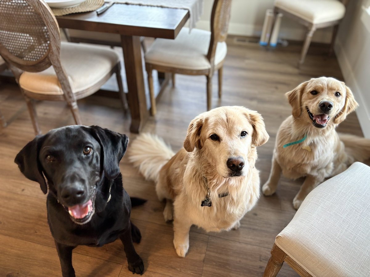 Finn made a visit, great play date over the weekend.