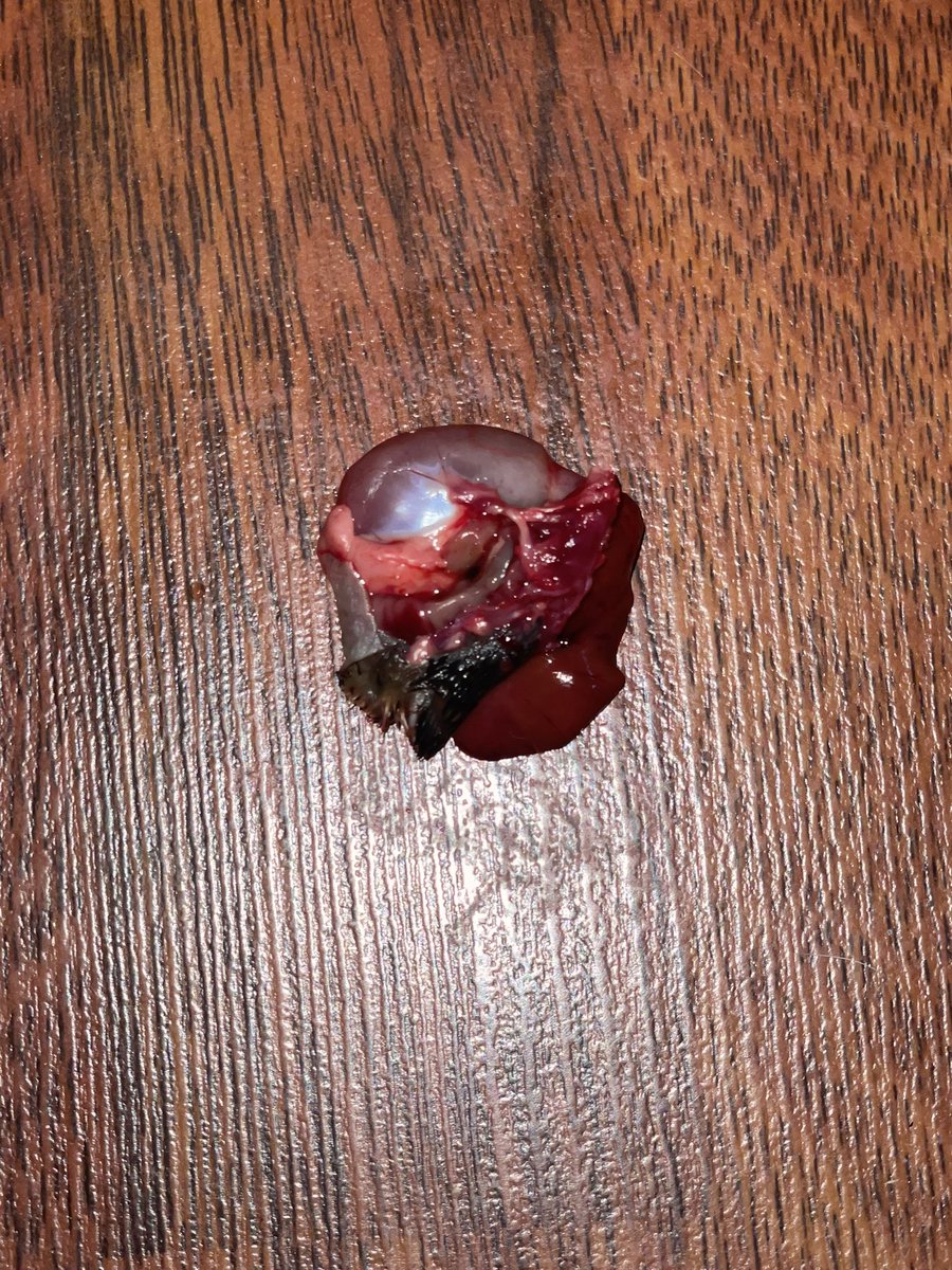 No what the FUCK is on my floor bro