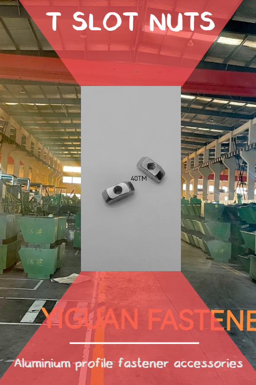chaoAlice254885's tweet image. t slot nuts, t head bolts, sliding nuts, spring leaf nuts, spring loaded half round nuts, etc....you can get the right nuts and bolts for your aluminium profile installation here. #auluminiumprofile #aluminiumextrusion #automationframework #aluminiumprofilenuts #nutsbolts