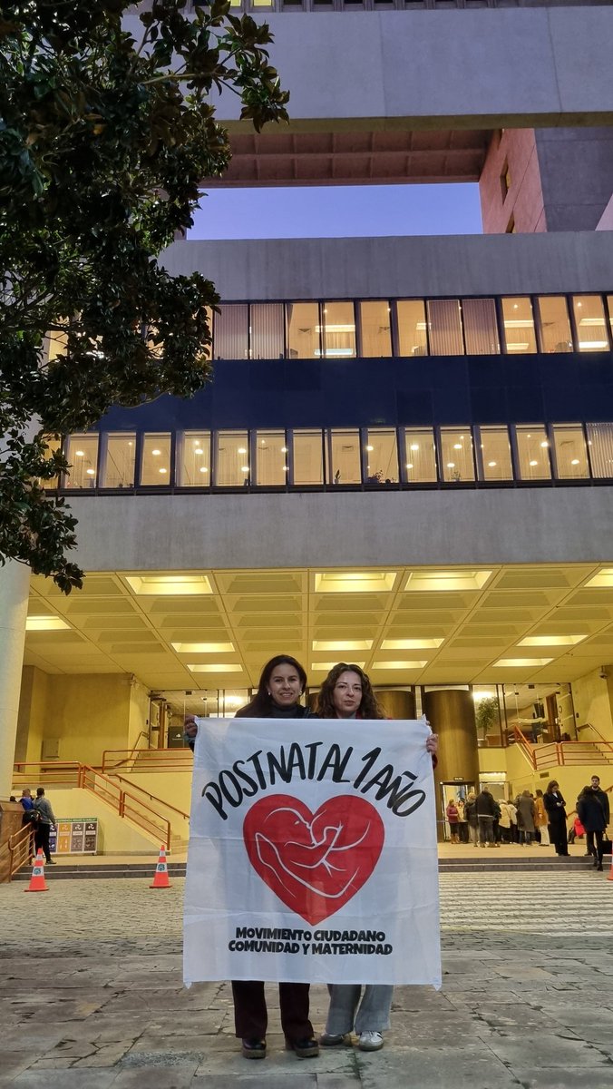 PostnatalDeEmergencia tweet media