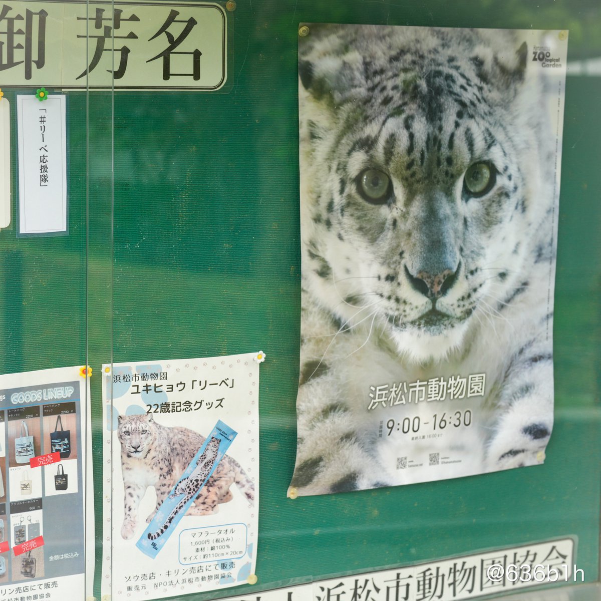 636b1h's tweet image. ・お馴染み、園内ポスターのリーベ
・団体サポーターに「#リーベ応援隊」を加えていただき、
・22歳記念グッズのリーベタオルのチラシ
など過ごした証がいっぱい…
献花台や
リーベ邸の、そのままのインテリアや掲示物などを見ながら
それぞれの方から
リーベとの思い出を聞かせていただき……