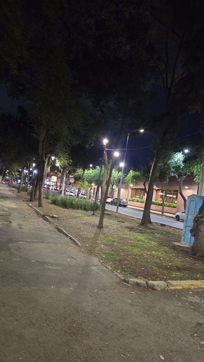 isaelDC's tweet photo. En plutarco y eje 8  alguien intencionalmente llenó de cristales rotos la tierra del camellón,  son más de 10 metros de largo así frente a @solosanborns de ermita qué ponen en peligro a niños y animales de compañía @BlindarBJ @PROFEPA_Mx  @SSC_CDMX alguien puede hacer algo? https://t.co/NH1h6aKMph