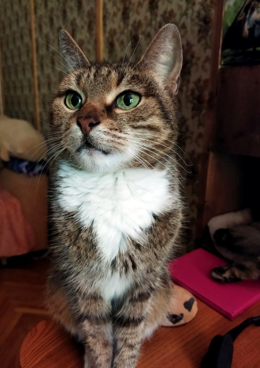 Лидсо с которым я захожу в твитер/литсо с которым я думаю насколько я лучше всяких дегенератов из всяких тредов ехехех