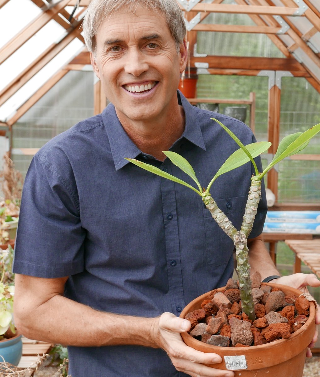 I’ve been teaching adults since 1981.

Back then, I’d start each class with a quick round of intros. You know the drill: name and maybe a fun fact. It worked okay. But honestly? That felt kinda lame.

Over time, I realized: I could do better.

About 20 years ago, I changed things