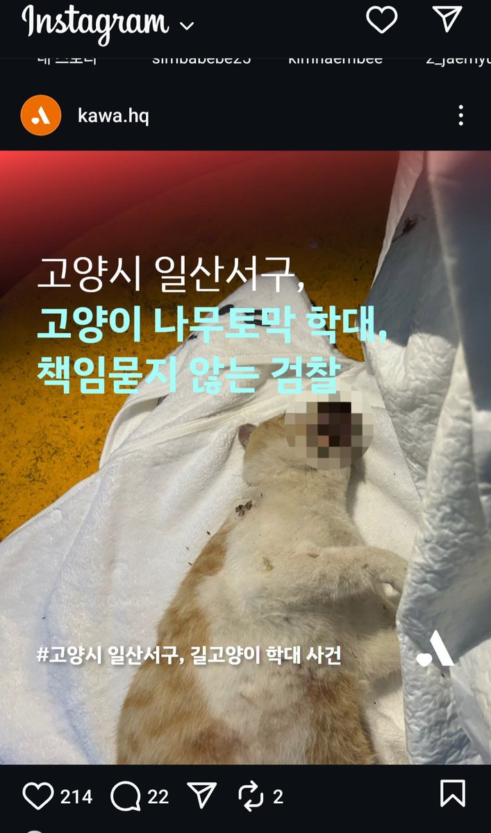 검찰이 미성년자라서 선처하고 처벌절대안하겠다합니다
미성년자는 고양이살해하고 전혀 처벌안받아요
또죽이겠죠
국민신문고 검찰청 민원넣어주세요