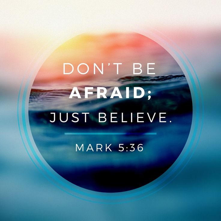 Home_ChurchFA's tweet photo. "Don’t be afraid; just believe."
When fear speaks loud, let faith answer louder.
#FaithOverFear #Mark536 #BayouHomeChurch https://t.co/OmECJdcLXZ