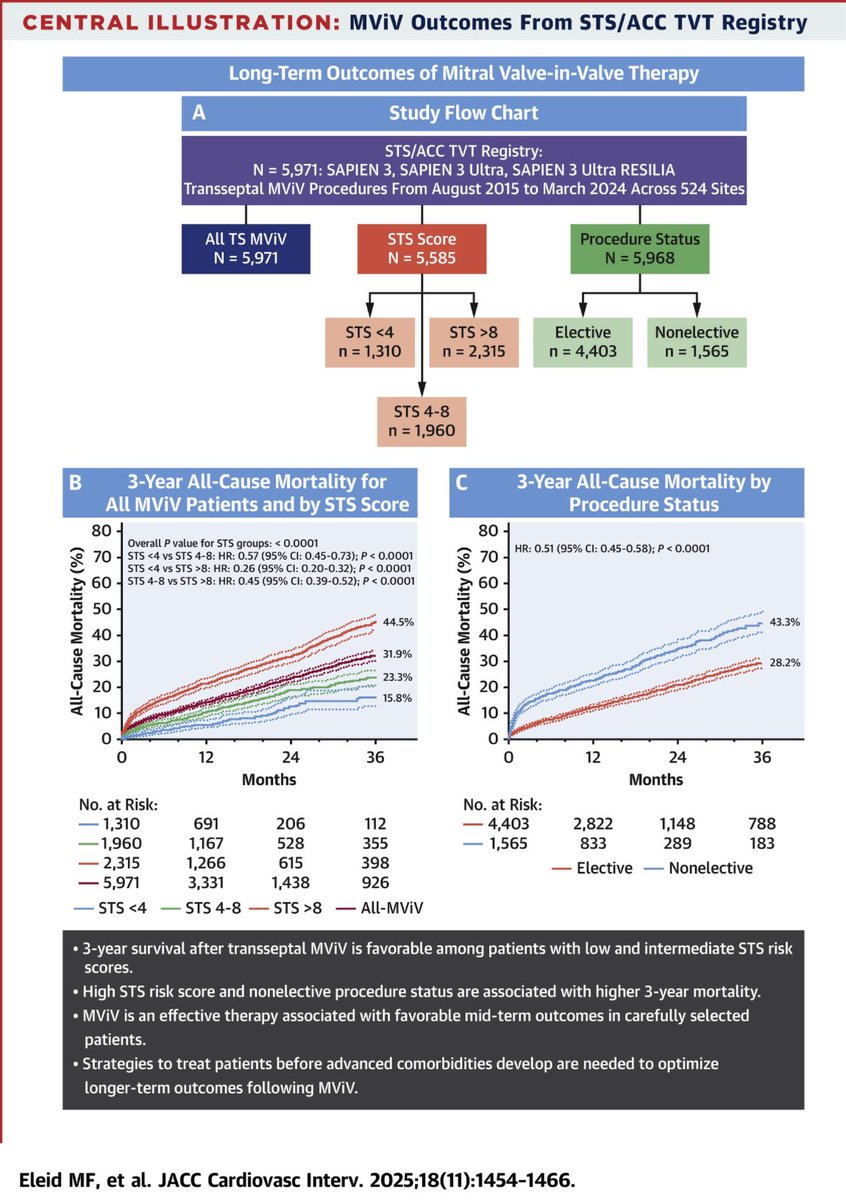Mack Eleid tweet media