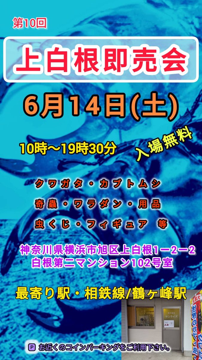 bug_forest's tweet image. 6月14日土曜日は上白根即売会@zero_stagbeetle です✨
いつも通りタランドゥスとダンゴムシをメインに連れて行きます🫡
その他奇蟲など通販サイトの在庫がある生体に関しては、前日までにDM頂ければ連れて行けますので、お気軽にご連絡ください🙌