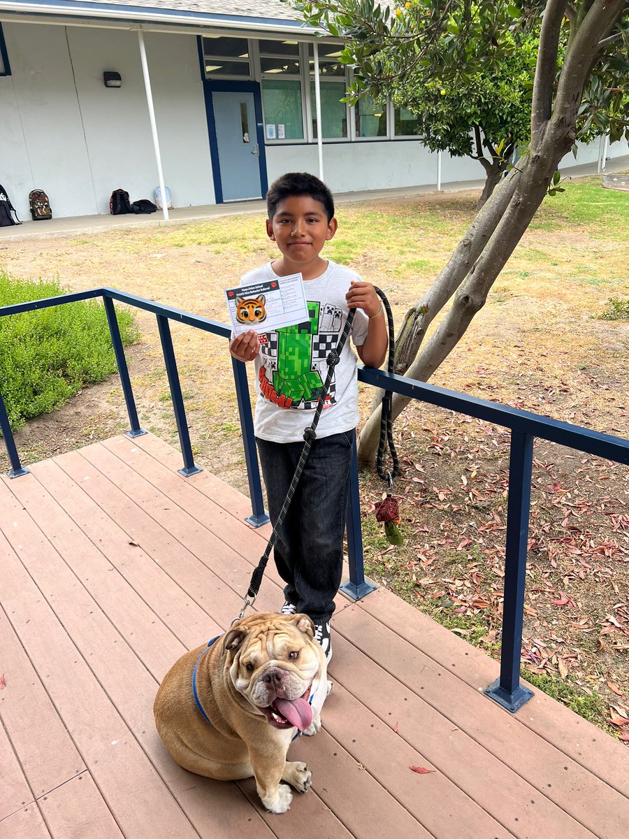 Congrats to our PAWSitive 🐾 Behavior Referral recipients. They were recognized by staff for going above &amp; beyond in demonstrating @mesaunionschool Guidelines for Success. Way to go! We are so proud of you! Go Tigers! 🐅 #DifferenceMaker🐯💙 #TheMesaWay  #mesamoments