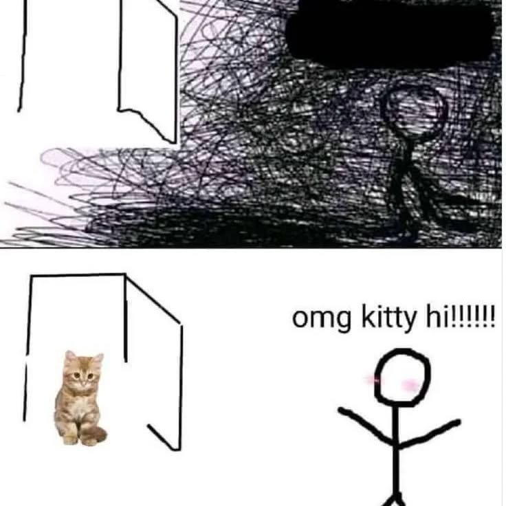 Punch Cat tweet media
