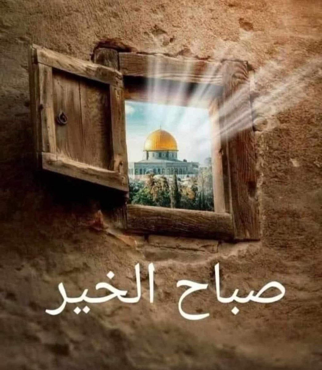 #صباح_الخيرᅠ 
اللهم إنا نسألك صباحاً فيه تفرج همومنا، وترفع غمتنا، ونسجد لك شاكرين ذاكرين على عظيم عطاياك.