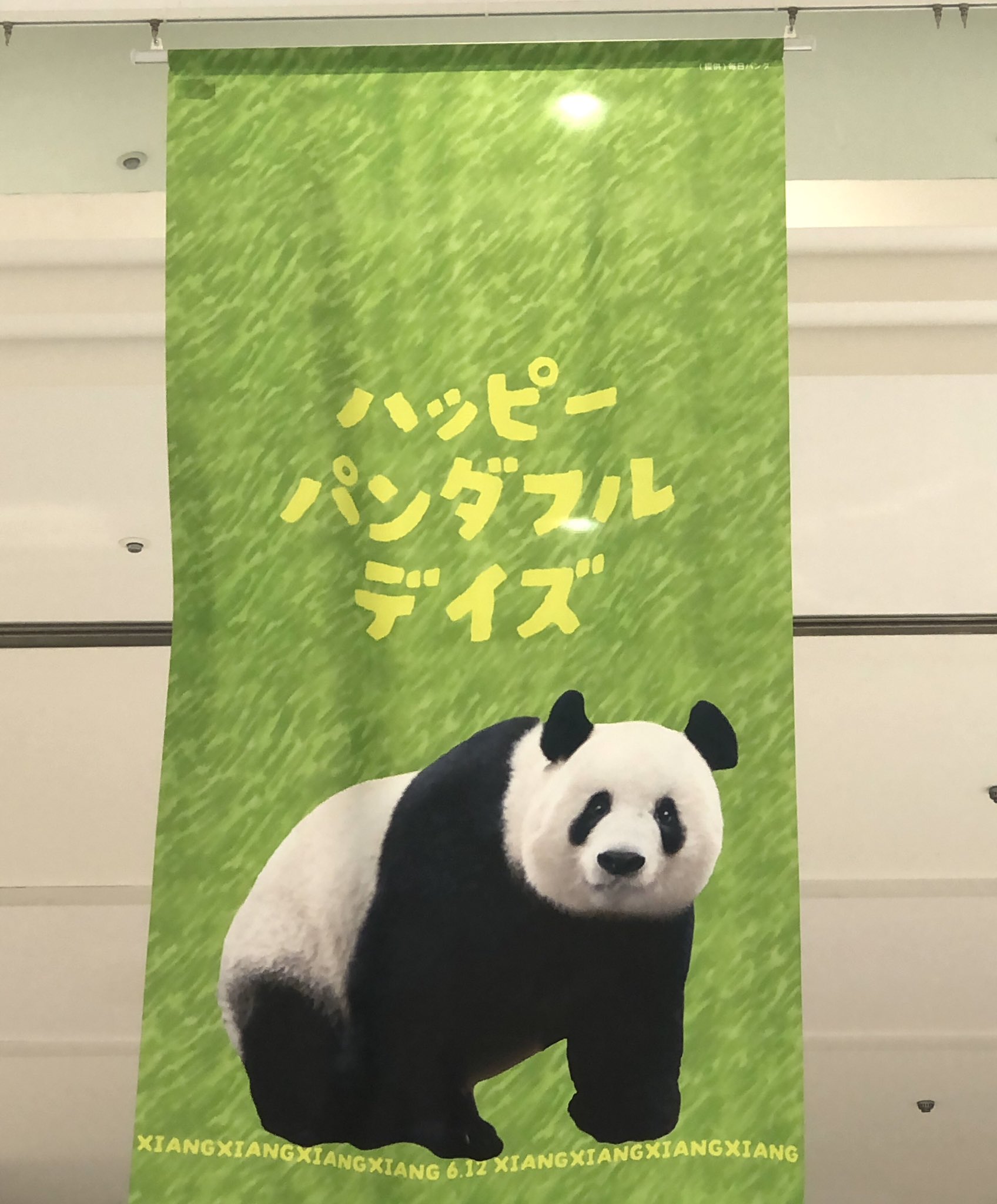 松坂屋上野店でハッピーパンダフルデイズを開催！（5/29〜6/27
