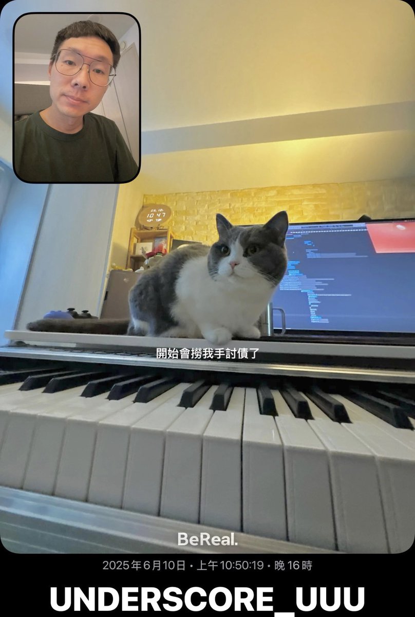 Back to work. #MusicDaily #Compose #Music #Producer #SoundDesigner #GameComposer #gamemusic #gameaudio #unclearranger #cat #cats #BritishShorthair #British #Shorthair