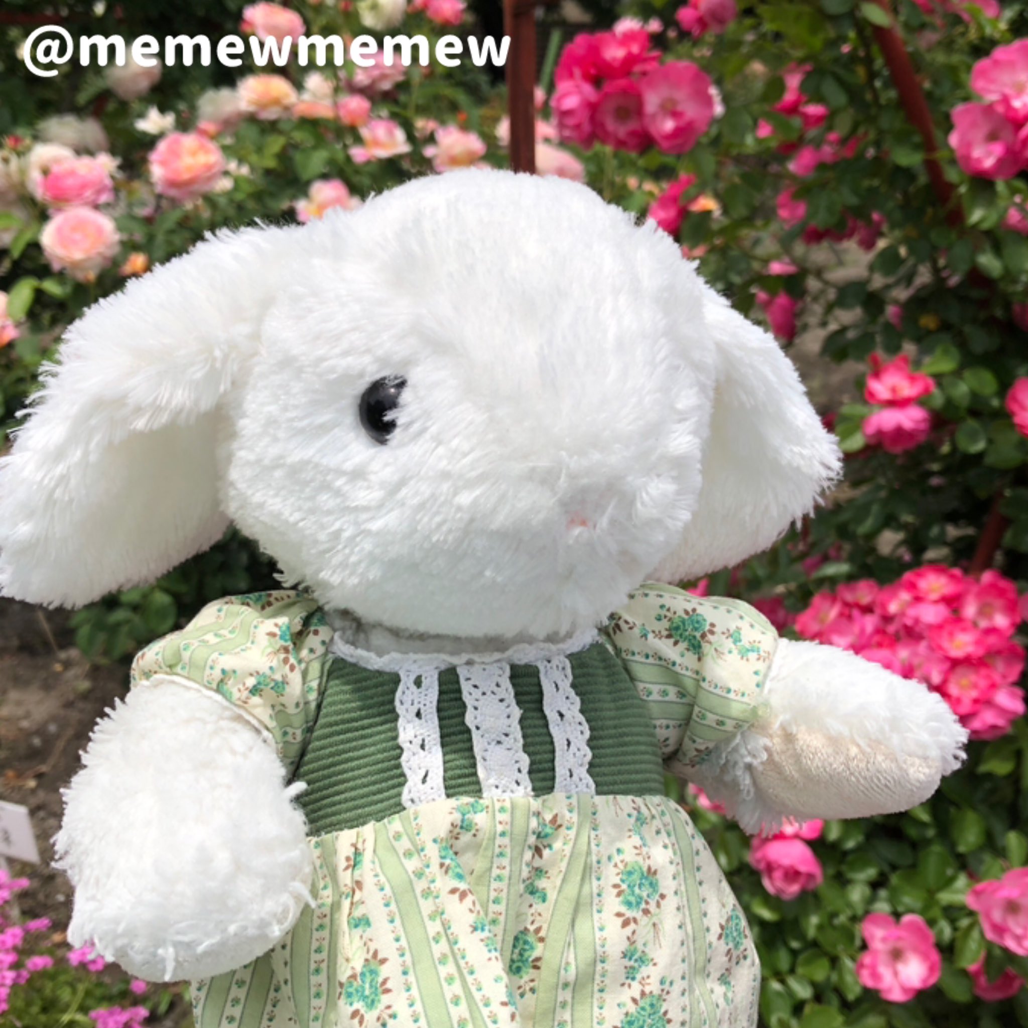 明日までお値引き‼️⭐️必ずコメントください⚠️ニーナミュウキティコラボダウンコート❤️ おきがえ】えっくす☆きゅーと『Star Sprinkles / Moon Cat Aika