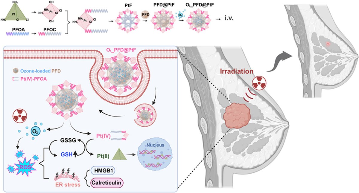 Article✍️A #cisplatin #prodrug-based self-#assembling #ozone delivery #nanosystem #sensitizes #radiotherapy in triple-negative #breast #cancer. From Dr. Shi @SichuanUniversity; <a href="/ELSpharma/">Elsevier Pharma</a>. 
sciencedirect.com/science/articl….