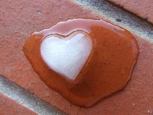 "إِنِّـي لأَجِدُ رِيحَ يُوسُفَ لَوْلا أَنْ تُفَنِّدُونْ".
*يُوسُف.
إنَّ كمَّ الحَنين واللَّوعَة فـي هَذه الآية،
يَمزجُ الجَوى بـ البَهجة، عَبرَ مُوسيقى
إعجازية، رُغم بساطة العبارة..! إنَّ بثَّ
الحَنان، يَكادُ يَهزُّ الرُّوحَ فـي آخرِ الآية..
"لَولا.. أن تُفنِّدُونْ".