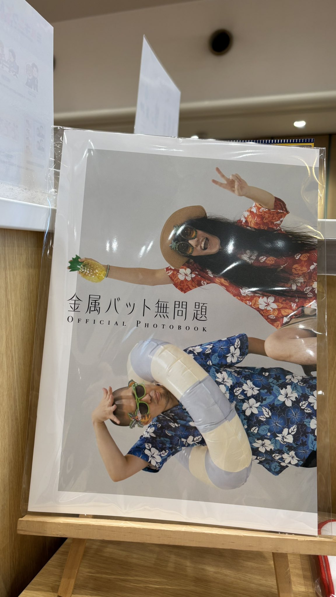 金属バット無問題 オフィシャルフォトブック（ポストカード付