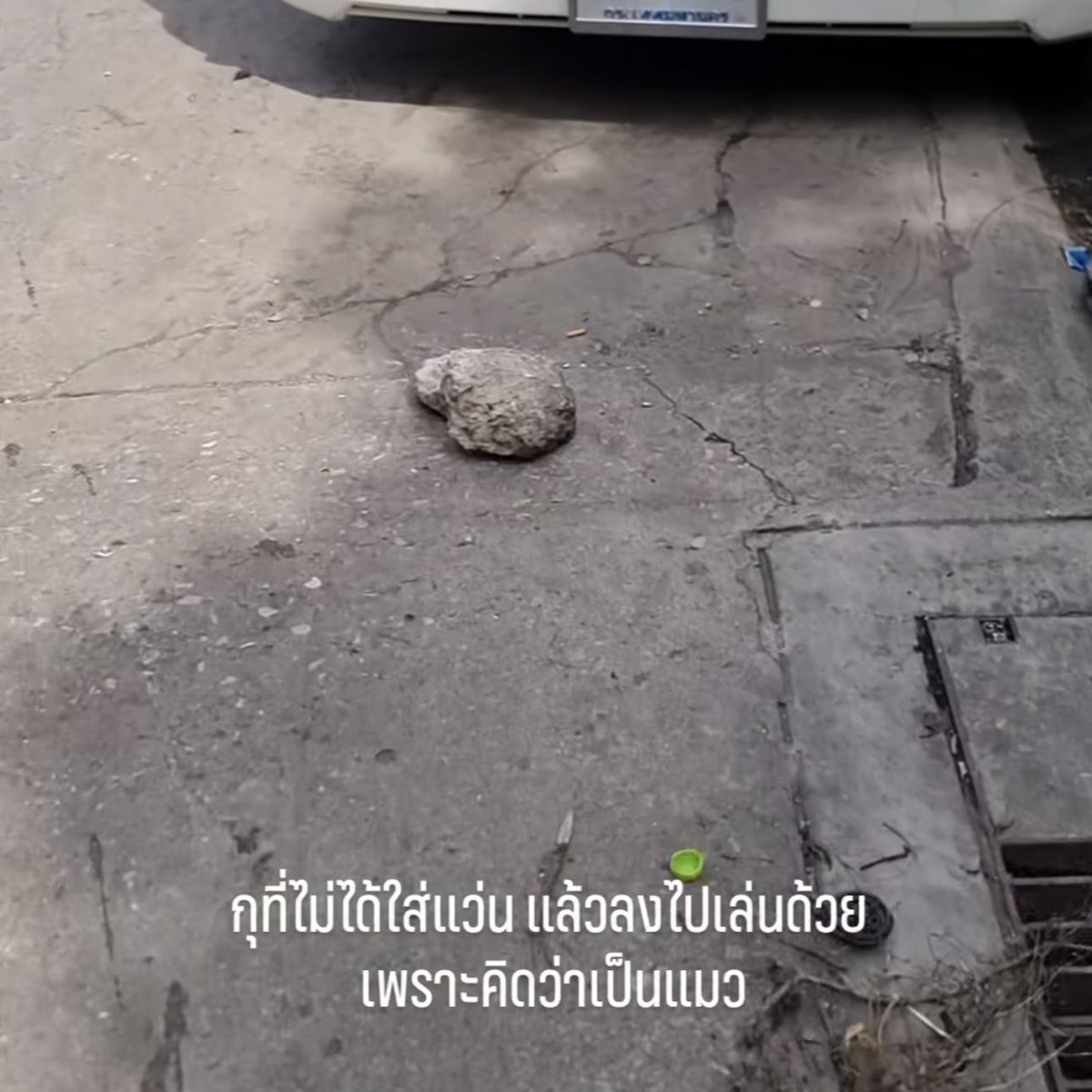 กาซาเม่ 🪼 tweet media
