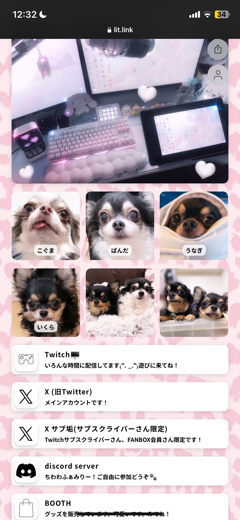 ちわわちゃん🐶🧋 (@chi0v0hua) / X