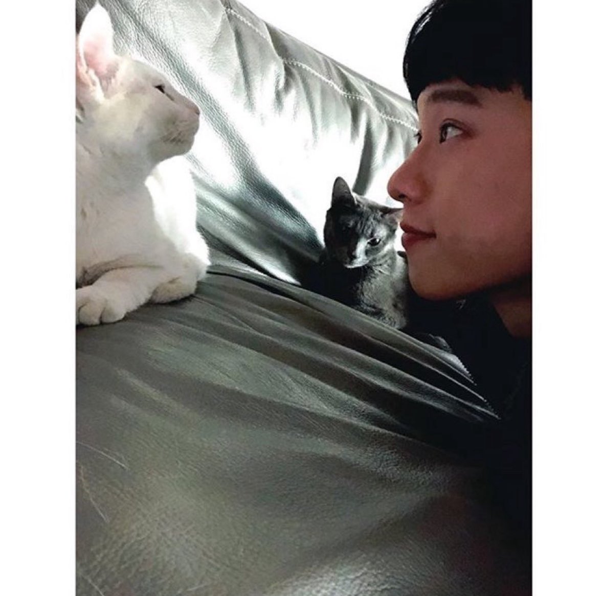 김성철 고양이 알레르기 있는데
고양이들이랑 사진 찍고
너네기엽다&lt;&lt;하고 인스타에 포스팅하는 행위